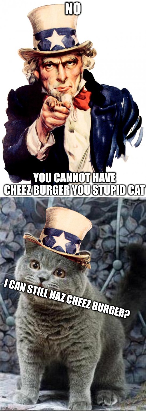 NO; YOU CANNOT HAVE CHEEZ BURGER YOU STUPID CAT; I CAN STILL HAZ CHEEZ BURGER? | image tagged in memes,uncle sam,i can has cheezburger cat | made w/ Imgflip meme maker