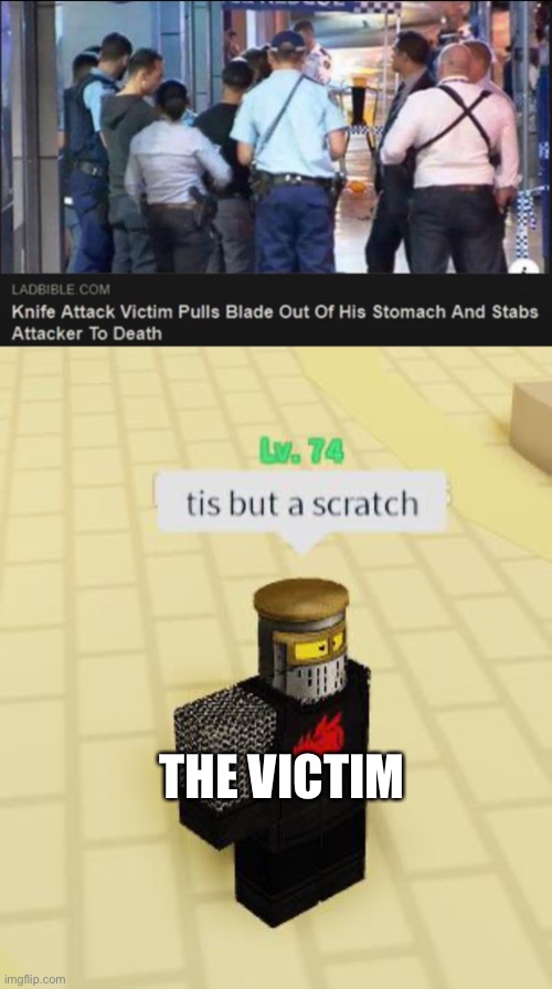THE VICTIM | image tagged in tis but a scratch | made w/ Imgflip meme maker