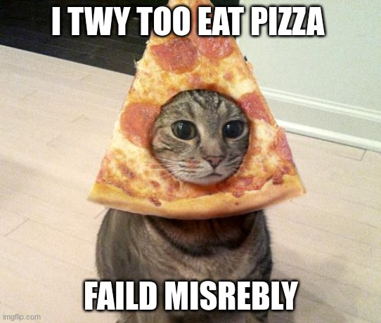 pizza cat | I TWY TOO EAT PIZZA; FAILD MISREBLY | image tagged in pizza cat | made w/ Imgflip meme maker