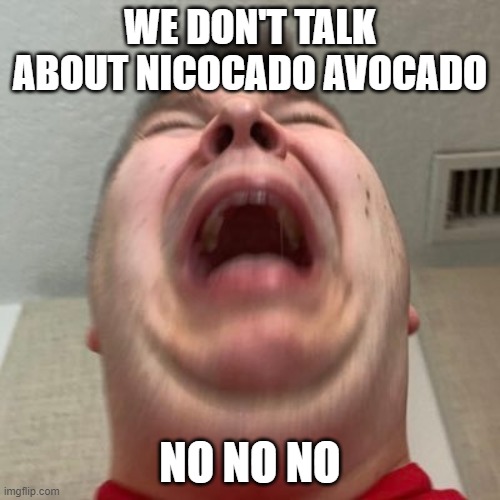 we don't talk about him >:( | WE DON'T TALK ABOUT NICOCADO AVOCADO; NO NO NO | image tagged in nicocado cry,no no no no | made w/ Imgflip meme maker