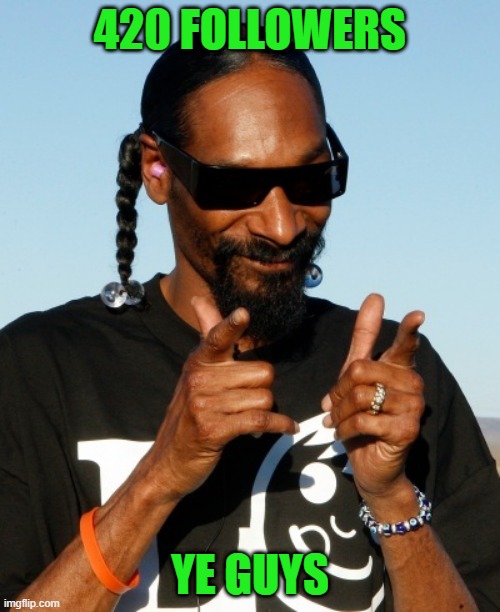 Snoop Dogg approves | 420 FOLLOWERS; YE GUYS | image tagged in snoop dogg approves | made w/ Imgflip meme maker