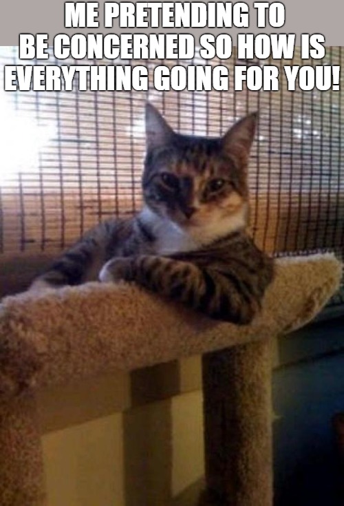 im here for you! | ME PRETENDING TO BE CONCERNED SO HOW IS EVERYTHING GOING FOR YOU! | image tagged in memes,the most interesting cat in the world | made w/ Imgflip meme maker