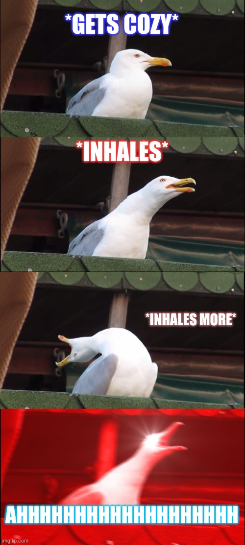 Inhaling Seagull | *GETS COZY*; *INHALES*; *INHALES MORE*; AHHHHHHHHHHHHHHHHHHH | image tagged in memes,inhaling seagull | made w/ Imgflip meme maker