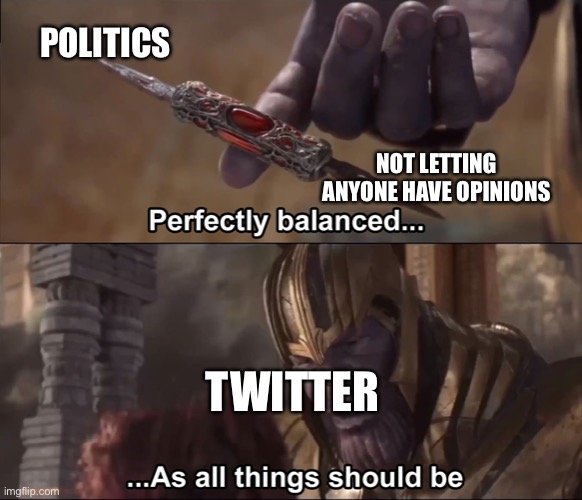 Yes. | POLITICS; NOT LETTING ANYONE HAVE OPINIONS; TWITTER | image tagged in thanos perfectly balanced as all things should be | made w/ Imgflip meme maker
