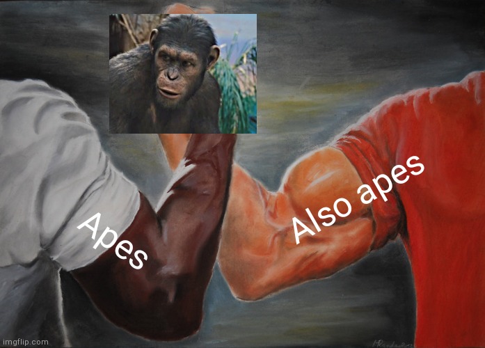 Apes together strong | Also apes; Apes | image tagged in memes,epic handshake | made w/ Imgflip meme maker