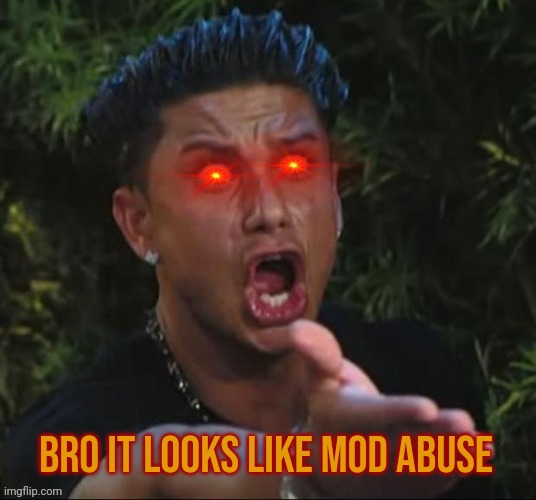 Bruh wtf | Bro it looks like mod abuse | image tagged in bruh wtf | made w/ Imgflip meme maker
