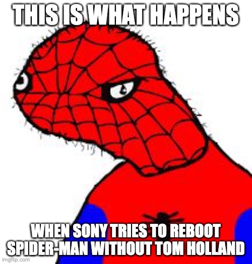 rebooted spider-man | THIS IS WHAT HAPPENS; WHEN SONY TRIES TO REBOOT SPIDER-MAN WITHOUT TOM HOLLAND | image tagged in spooderman | made w/ Imgflip meme maker
