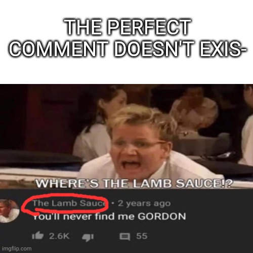 Where's the lamb sauce!? | THE PERFECT COMMENT DOESN'T EXIS- | image tagged in chef gordon ramsay,angry chef gordon ramsay | made w/ Imgflip meme maker