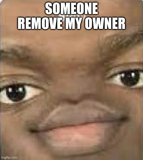 pls | SOMEONE REMOVE MY OWNER | image tagged in bruv | made w/ Imgflip meme maker