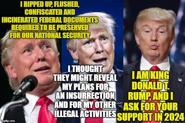 The Madness of King Donald | I RIPPED UP, FLUSHED, CONFISCATED AND INCINERATED FEDERAL DOCUMENTS REQUIRED TO BE PRESERVED FOR OUR NATIONAL SECURITY; I AM KING DONALD T. RUMP, AND I ASK FOR YOUR SUPPORT IN 2024; I THOUGHT THEY MIGHT REVEAL MY PLANS FOR AN INSURRECTION AND FOR MY OTHER ILLEGAL ACTIVITIES | image tagged in never trump,donald trump approves,maga,trump,biggest loser,donald trump the clown | made w/ Imgflip meme maker