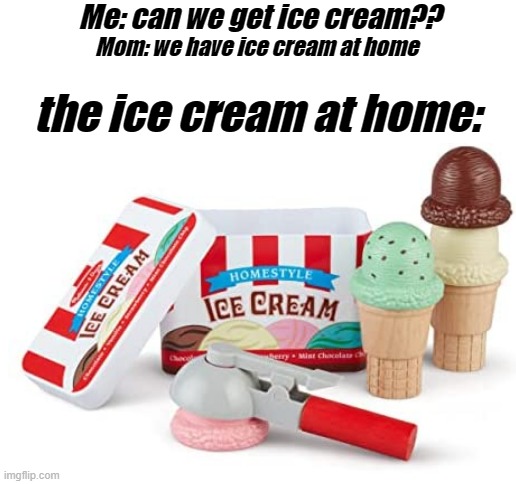 ;-; | Me: can we get ice cream?? Mom: we have ice cream at home; the ice cream at home: | image tagged in blank white template | made w/ Imgflip meme maker