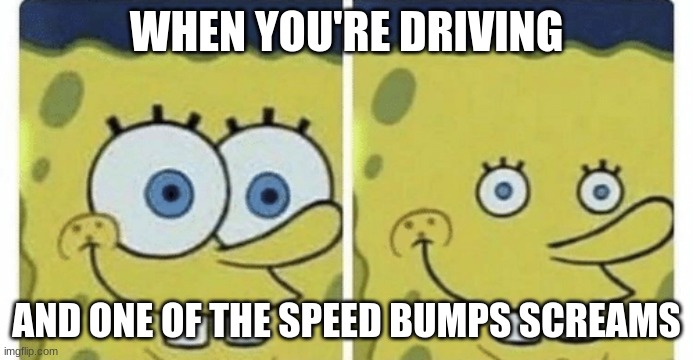 Sponge bob small eyes | WHEN YOU'RE DRIVING; AND ONE OF THE SPEED BUMPS SCREAMS | image tagged in sponge bob small eyes | made w/ Imgflip meme maker