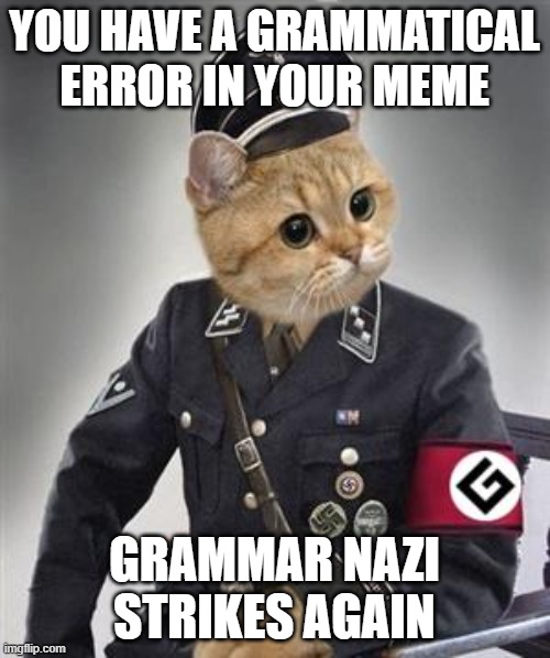 Grammar Nazi Cat | YOU HAVE A GRAMMATICAL ERROR IN YOUR MEME GRAMMAR NAZI STRIKES AGAIN | image tagged in grammar nazi cat | made w/ Imgflip meme maker