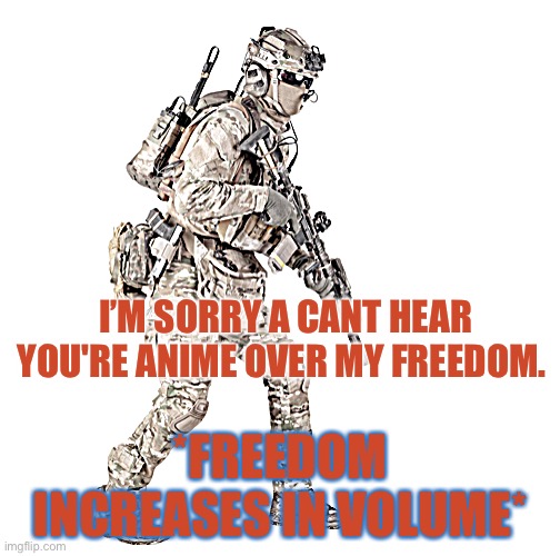 Airsoft solider | I’M SORRY A CANT HEAR YOU'RE ANIME OVER MY FREEDOM. *FREEDOM INCREASES IN VOLUME* | image tagged in airsoft solider | made w/ Imgflip meme maker