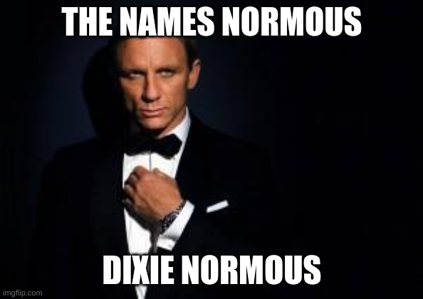 the names bond, james bond | THE NAMES NORMOUS; DIXIE NORMOUS | image tagged in james bond | made w/ Imgflip meme maker