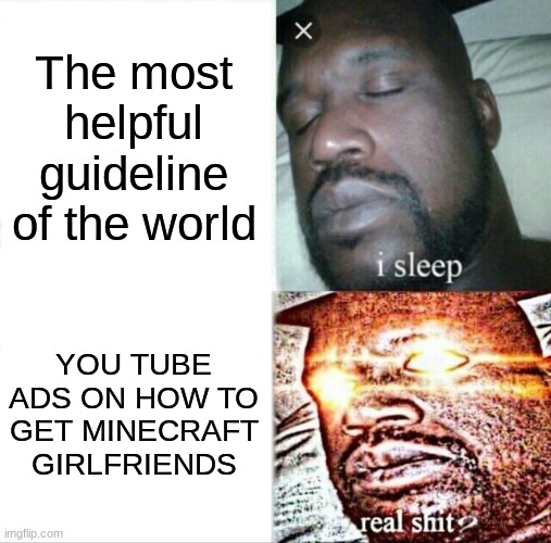 mem | The most helpful guideline of the world; YOU TUBE ADS ON HOW TO GET MINECRAFT GIRLFRIENDS | image tagged in memes,sleeping shaq | made w/ Imgflip meme maker