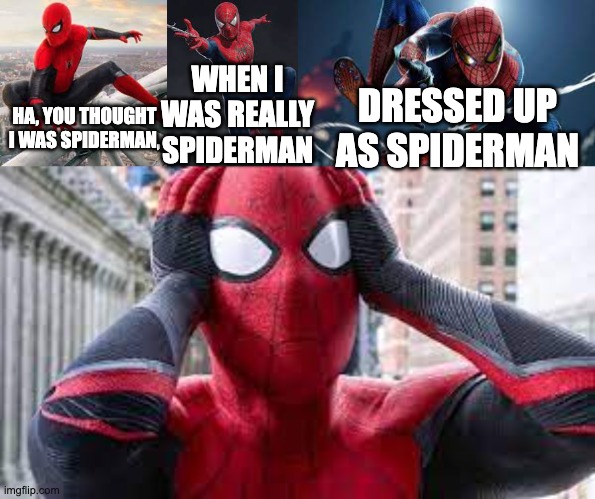 HA, YOU THOUGHT I WAS SPIDERMAN, WHEN I WAS REALLY SPIDERMAN DRESSED UP AS SPIDERMAN | made w/ Imgflip meme maker