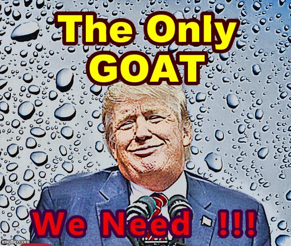 The GOAT Of AMERICA | image tagged in the goat for america | made w/ Imgflip meme maker