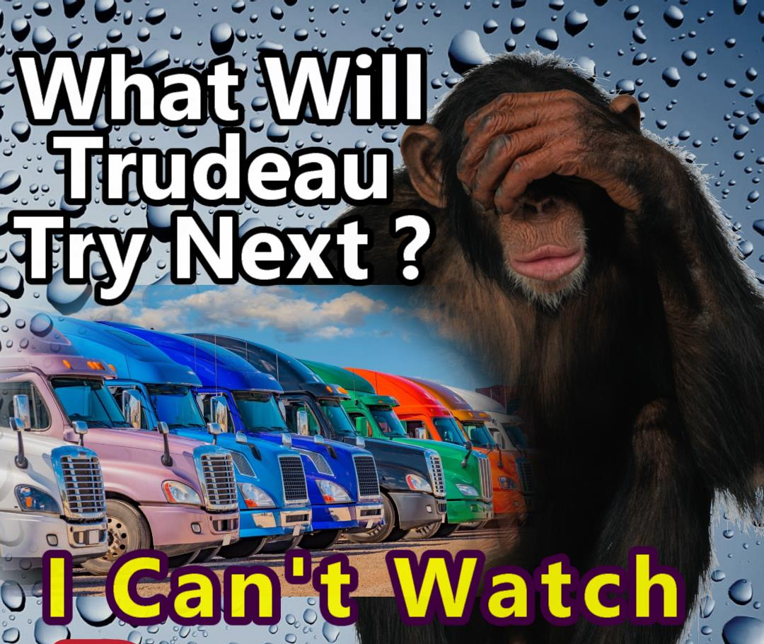 FREEDOM Truckers Unite Blank Meme Template