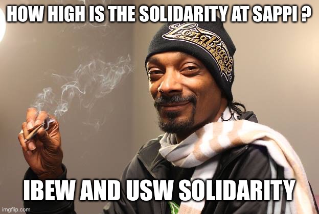 Solidarity | HOW HIGH IS THE SOLIDARITY AT SAPPI ? IBEW AND USW SOLIDARITY | image tagged in snoop dogg | made w/ Imgflip meme maker