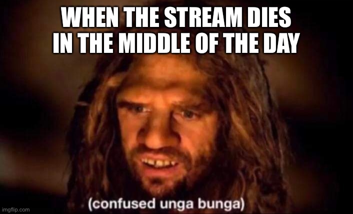 Confused Unga Bunga | WHEN THE STREAM DIES IN THE MIDDLE OF THE DAY | image tagged in confused unga bunga | made w/ Imgflip meme maker