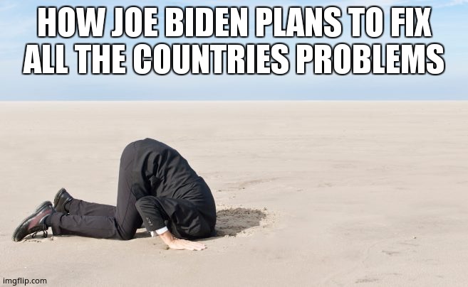 How Joe Biden fixes things | HOW JOE BIDEN PLANS TO FIX
ALL THE COUNTRIES PROBLEMS | image tagged in head in sand | made w/ Imgflip meme maker