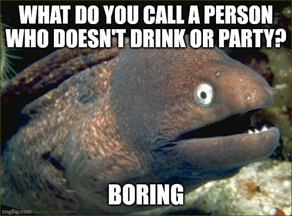 Bad Joke Eel Meme |  WHAT DO YOU CALL A PERSON WHO DOESN'T DRINK OR PARTY? BORING | image tagged in memes,bad joke eel | made w/ Imgflip meme maker