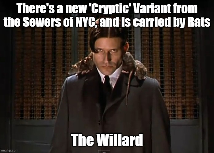 New Cryptic Variant Needs a Name | There's a new 'Cryptic' Variant from the Sewers of NYC, and is carried by Rats; The Willard | image tagged in nyc,cryptic,variant,covid,willard,rats | made w/ Imgflip meme maker