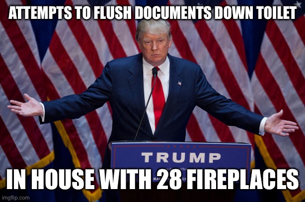 Donald Trump | ATTEMPTS TO FLUSH DOCUMENTS DOWN TOILET; IN HOUSE WITH 28 FIREPLACES | image tagged in donald trump | made w/ Imgflip meme maker