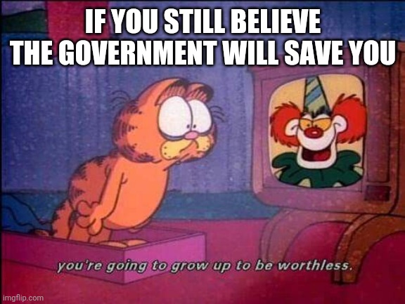 Garfield and binky the clown | IF YOU STILL BELIEVE THE GOVERNMENT WILL SAVE YOU | image tagged in garfield and binky the clown | made w/ Imgflip meme maker