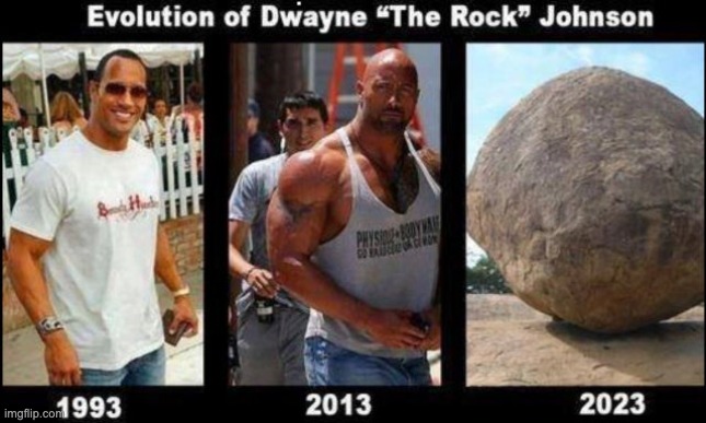 The Rock | image tagged in funny,the rock | made w/ Imgflip meme maker