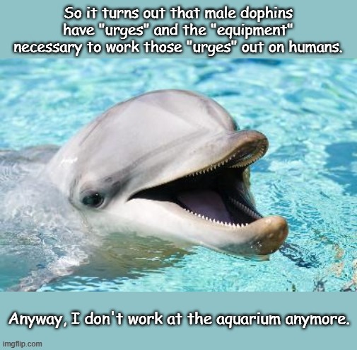 image tagged in funny | made w/ Imgflip meme maker