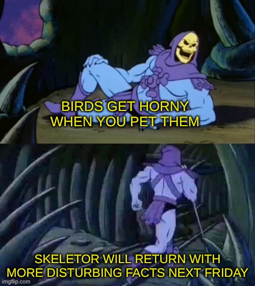 Skeletor disturbing facts | BIRDS GET HORNY WHEN YOU PET THEM; SKELETOR WILL RETURN WITH MORE DISTURBING FACTS NEXT FRIDAY | image tagged in skeletor disturbing facts | made w/ Imgflip meme maker