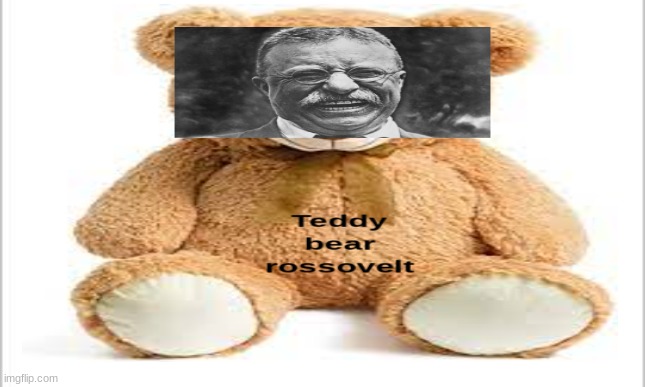 i never knew a teddy bear could be president! | image tagged in memes | made w/ Imgflip meme maker