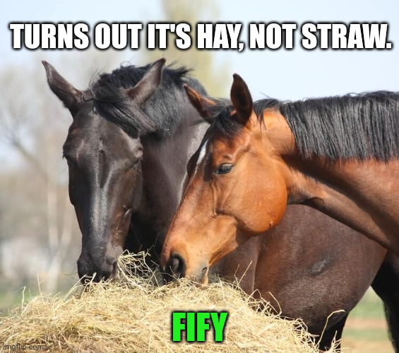 TURNS OUT IT'S HAY, NOT STRAW. FIFY | made w/ Imgflip meme maker