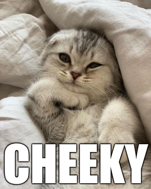 CHEEKY | made w/ Imgflip meme maker