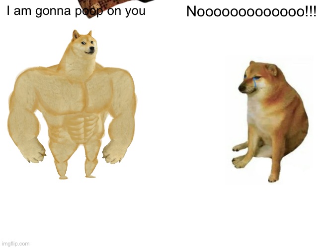 Buff Doge vs. Cheems Meme | I am gonna poop on you; Nooooooooooooo!!! | image tagged in memes,buff doge vs cheems | made w/ Imgflip meme maker