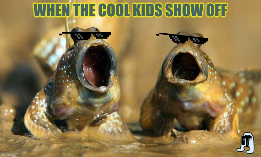 so ya | WHEN THE COOL KIDS SHOW OFF | image tagged in mudskipper,wow,coolkids | made w/ Imgflip meme maker