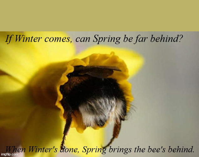 Bee Behind | If Winter comes, can Spring be far behind? When Winter's done, Spring brings the bee's behind. | image tagged in bee behind | made w/ Imgflip meme maker