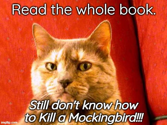 Suspicious Cat |  Read the whole book. Still don't know how to Kill a Mockingbird!!! | image tagged in memes,suspicious cat | made w/ Imgflip meme maker