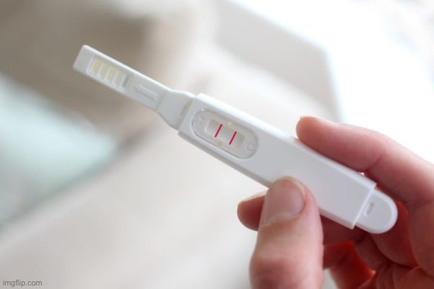 Pregnancy test | image tagged in pregnancy test | made w/ Imgflip meme maker
