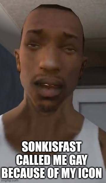 Carl Johnson sad | SONKISFAST CALLED ME GAY BECAUSE OF MY ICON | image tagged in carl johnson sad | made w/ Imgflip meme maker