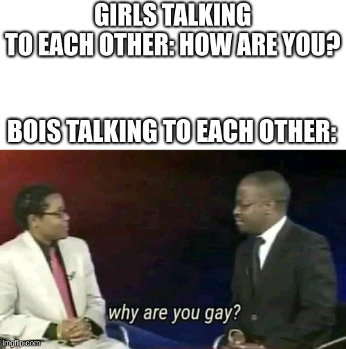 Why are you gay? | GIRLS TALKING TO EACH OTHER: HOW ARE YOU? BOIS TALKING TO EACH OTHER: | image tagged in why are you gay,boi,boys vs girls | made w/ Imgflip meme maker