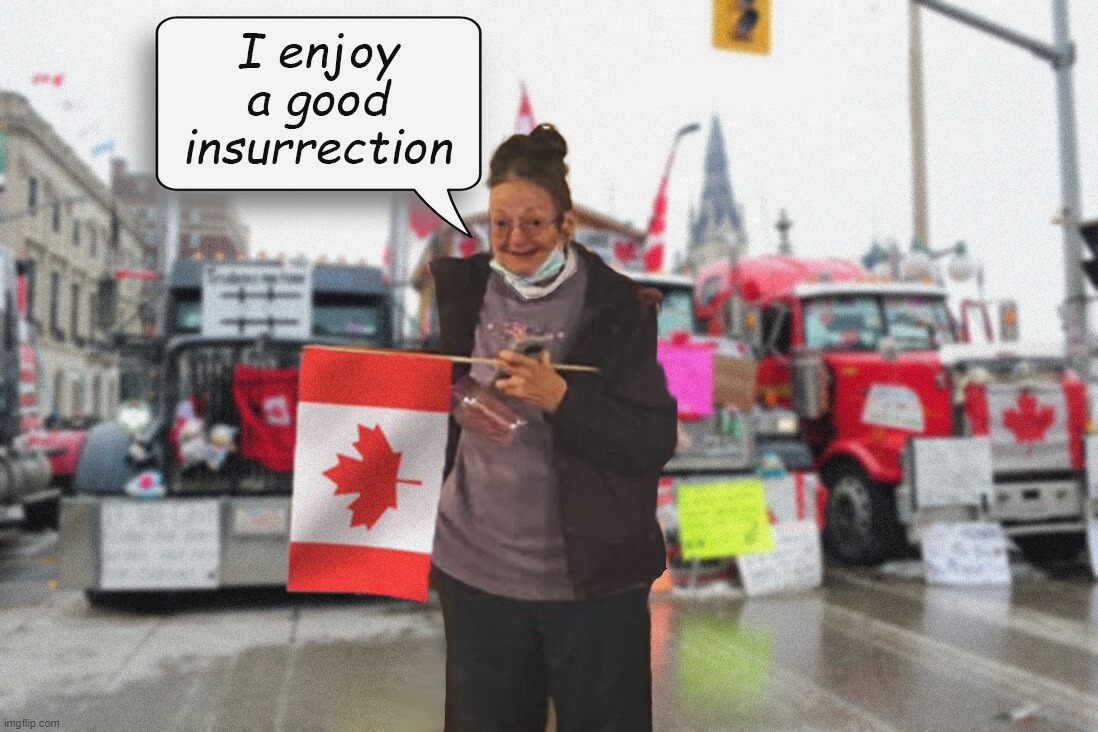 image tagged in meemaw,insurrection,canada,truckers,freedom,justin trudeau | made w/ Imgflip meme maker