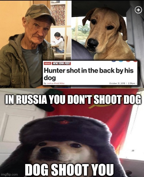 In Russia, dog file lawsuit | IN RUSSIA YOU DON'T SHOOT DOG; DOG SHOOT YOU | image tagged in memes,russia | made w/ Imgflip meme maker