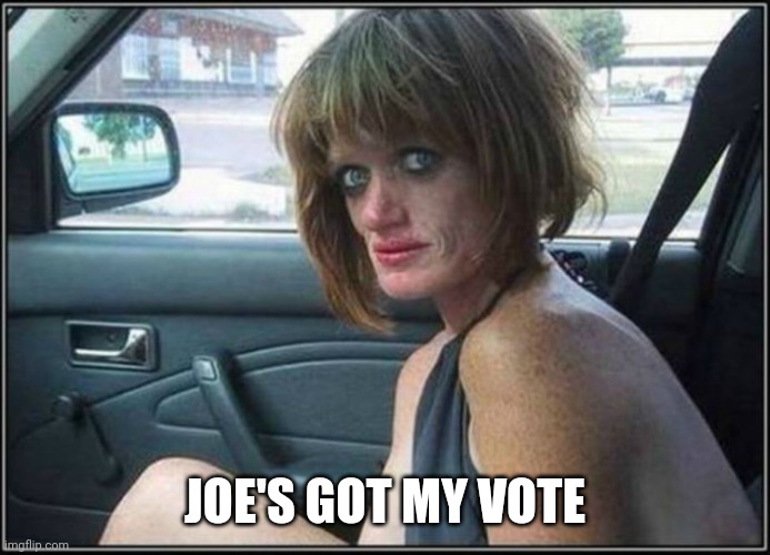 Ugly meth heroin addict Prostitute hoe in car | JOE'S GOT MY VOTE | image tagged in ugly meth heroin addict prostitute hoe in car | made w/ Imgflip meme maker