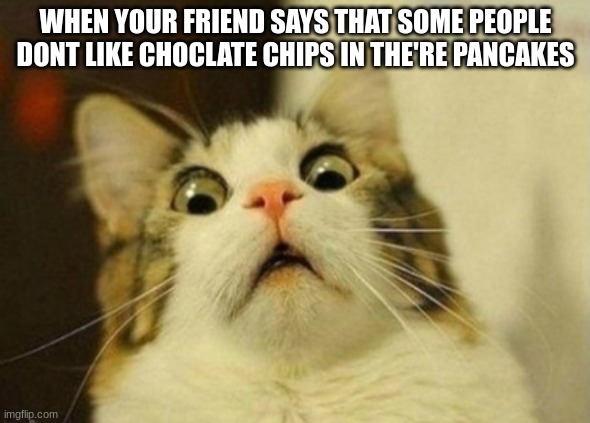 LOL | WHEN YOUR FRIEND SAYS THAT SOME PEOPLE DONT LIKE CHOCLATE CHIPS IN THE'RE PANCAKES | image tagged in what do you think,lol | made w/ Imgflip meme maker