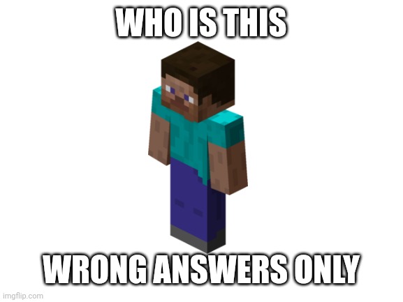 Blank White Template | WHO IS THIS; WRONG ANSWERS ONLY | image tagged in memes,wrong answers only | made w/ Imgflip meme maker