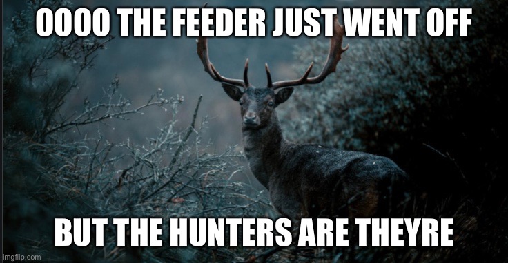 Hunting | OOOO THE FEEDER JUST WENT OFF; BUT THE HUNTERS ARE THEYRE | image tagged in funny hunting meams | made w/ Imgflip meme maker