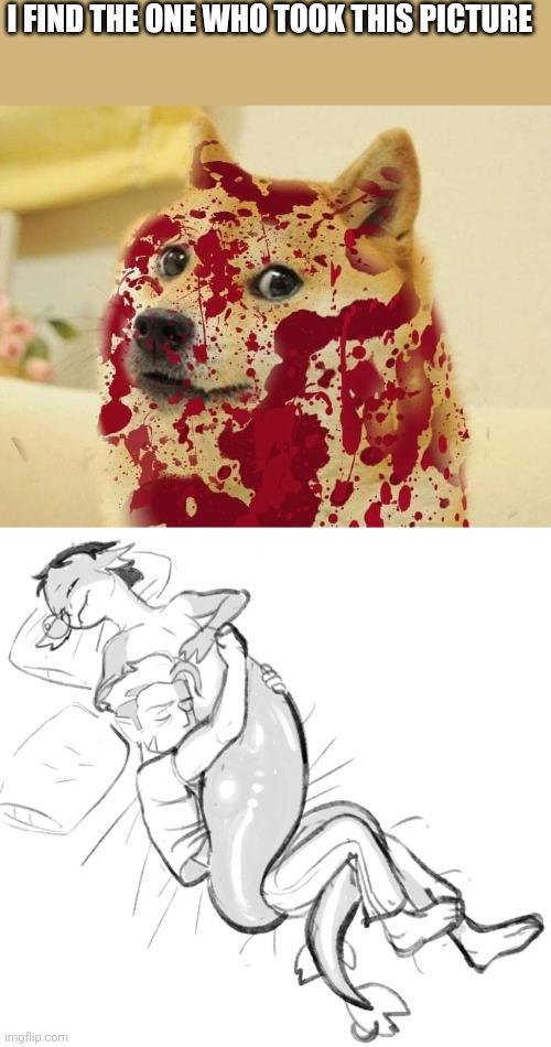 I FIND THE ONE WHO TOOK THIS PICTURE | image tagged in bloody doge | made w/ Imgflip meme maker